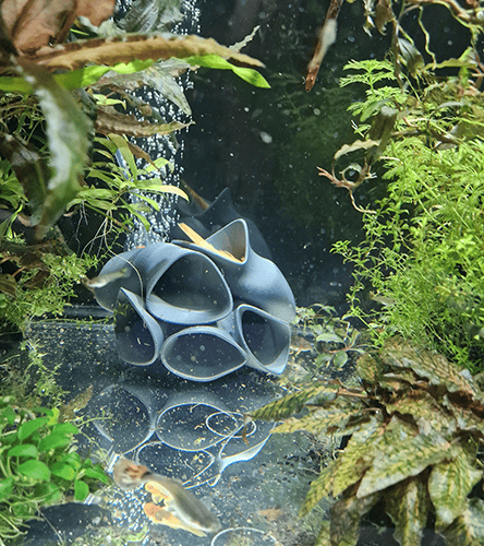 A uniquely designed 3D-printed aquarium decor, this fish hotel offers multiple hiding spots for fish and shrimp. Created using 3D printing for aquariums, it showcases how you can design and print custom aquarium accessories to personalize your fish tank.