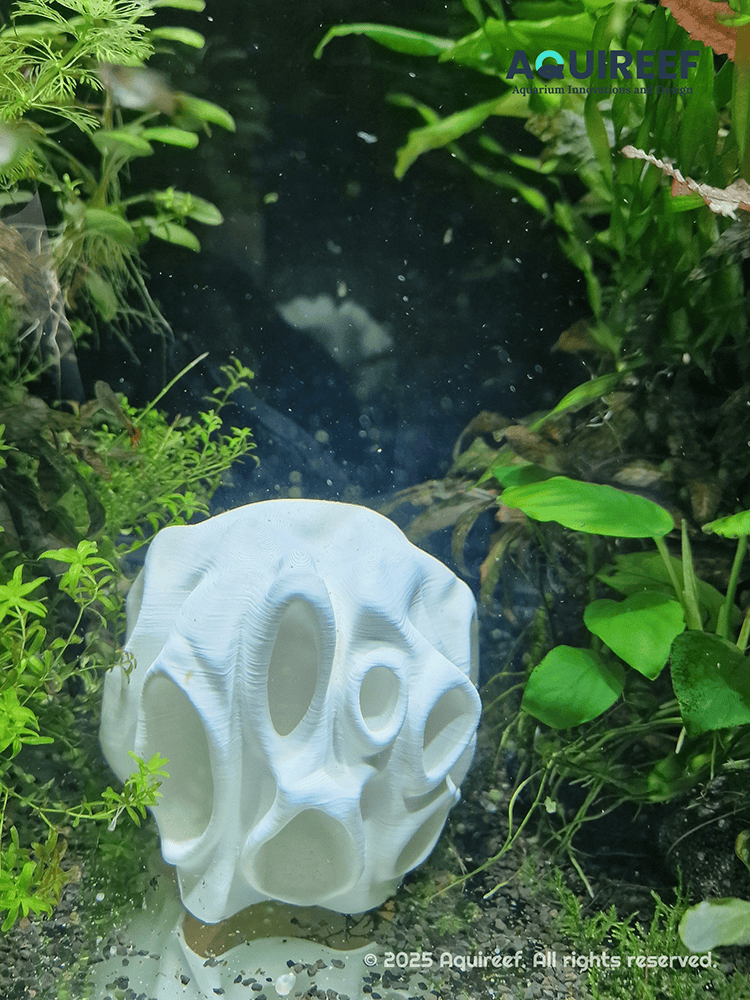 Design and Print Custom Aquarium Accessories guide, showcasing a 3D printed fish cave. This design is an example of how 3D printing for aquariums allows hobbyists to craft custom aquarium accessories that enhance tank functionality and aesthetics.