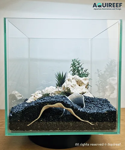 Design and Print Custom Aquarium Accessories Guide - Aquireef3D Design and Print Custom Aquarium Accessories Guide - Aquireef3D