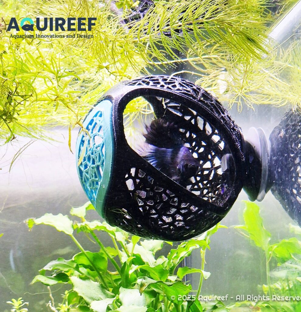 Design and print custom aquarium accessories - a beautifully crafted 3D printed betta cave, providing a resting and hiding space for betta fish.