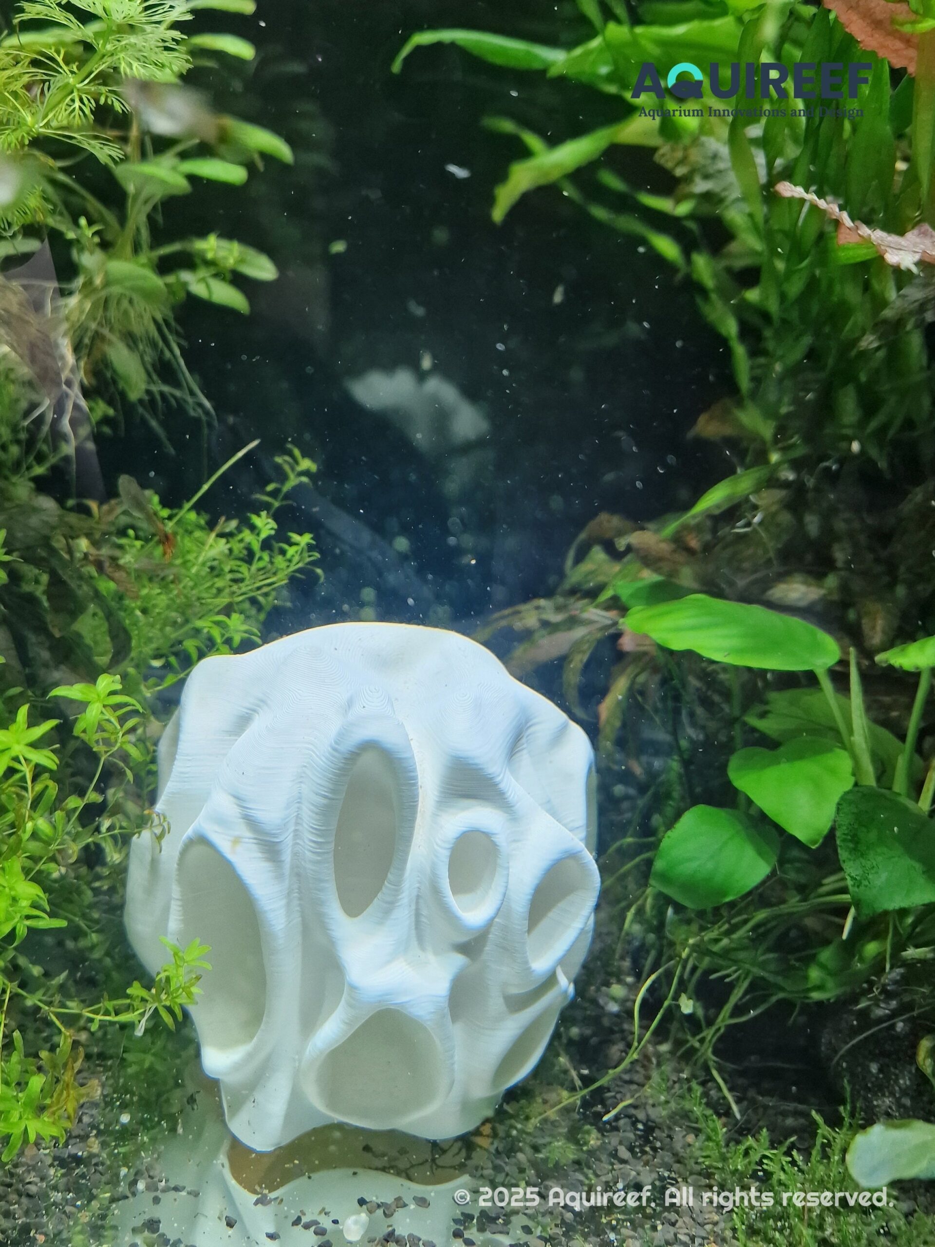 Custom 3D print - cichlid hiding and play cave in a real aquarium