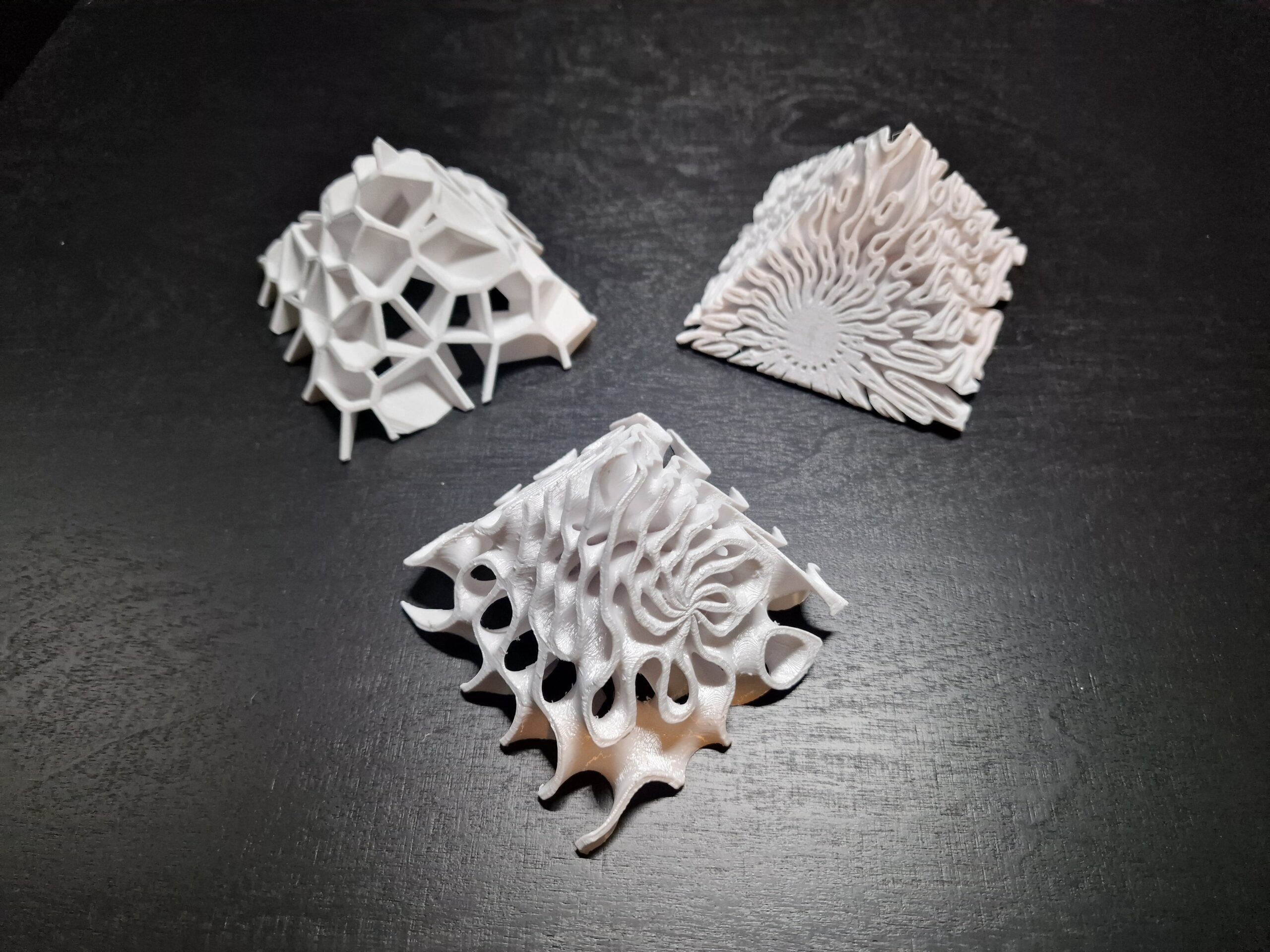 Custom 3D print design - shrimp hides