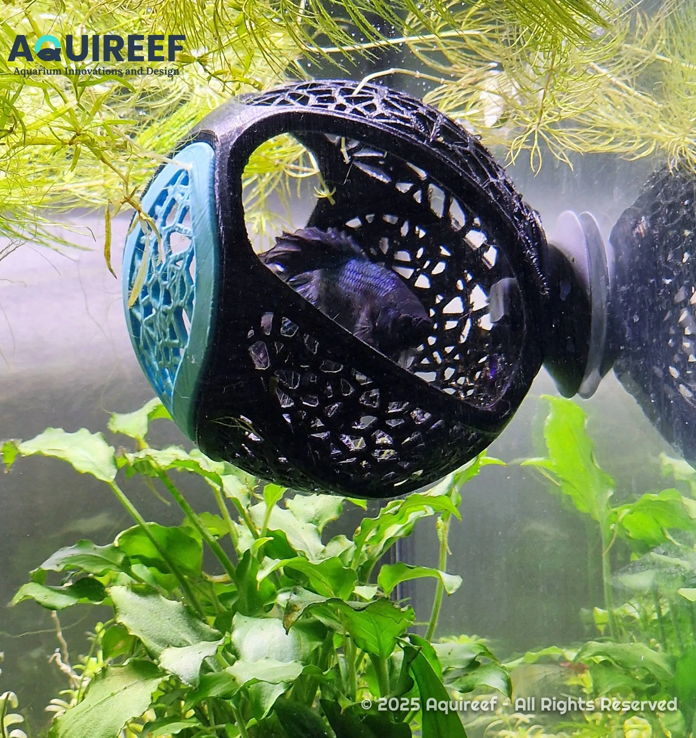 Custom 3D print design - betta fish resting nest in a live aquarium