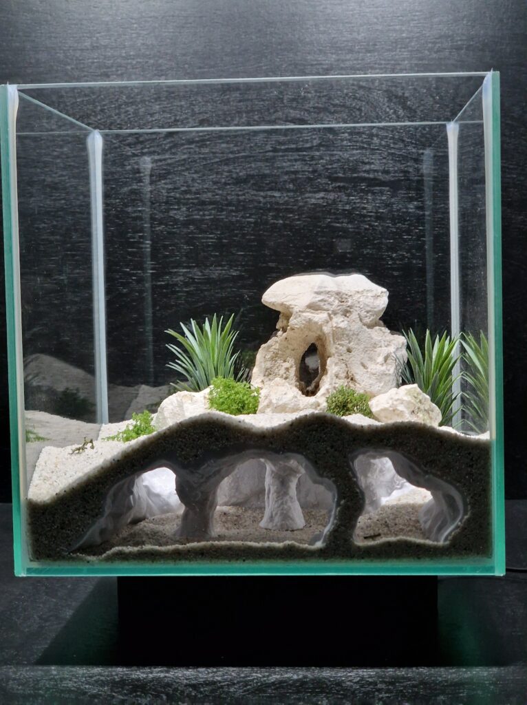 A fish tank cave - undergravel cave showcased