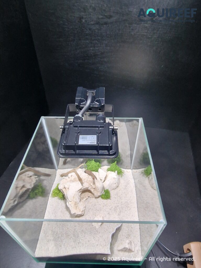 Aquireef3D Custom Print Blog showcasing the 1 min