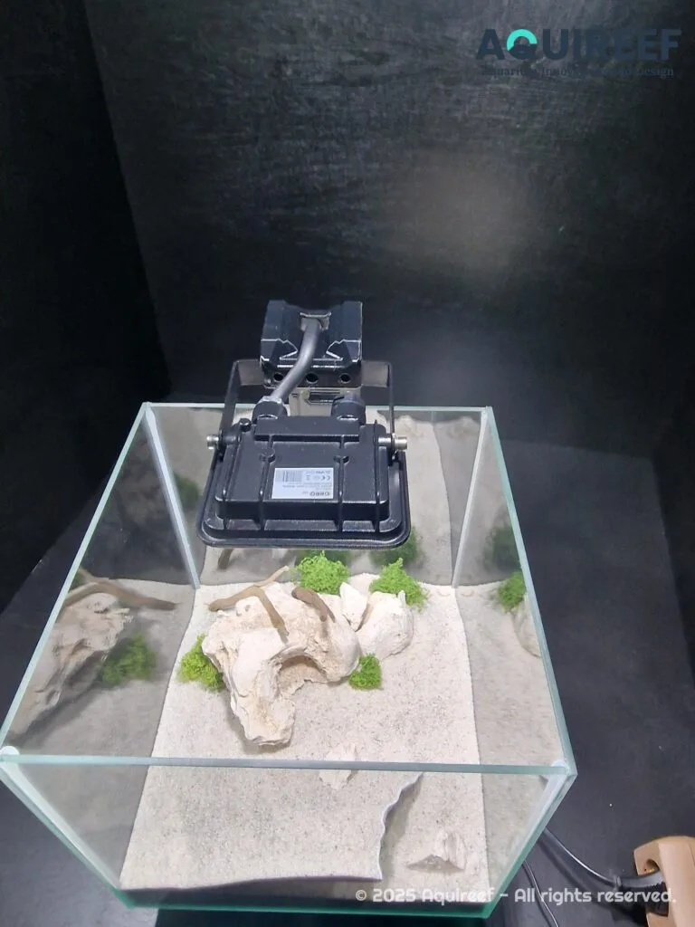 Aquireef3D Custom Print Blog showcasing the 1 min