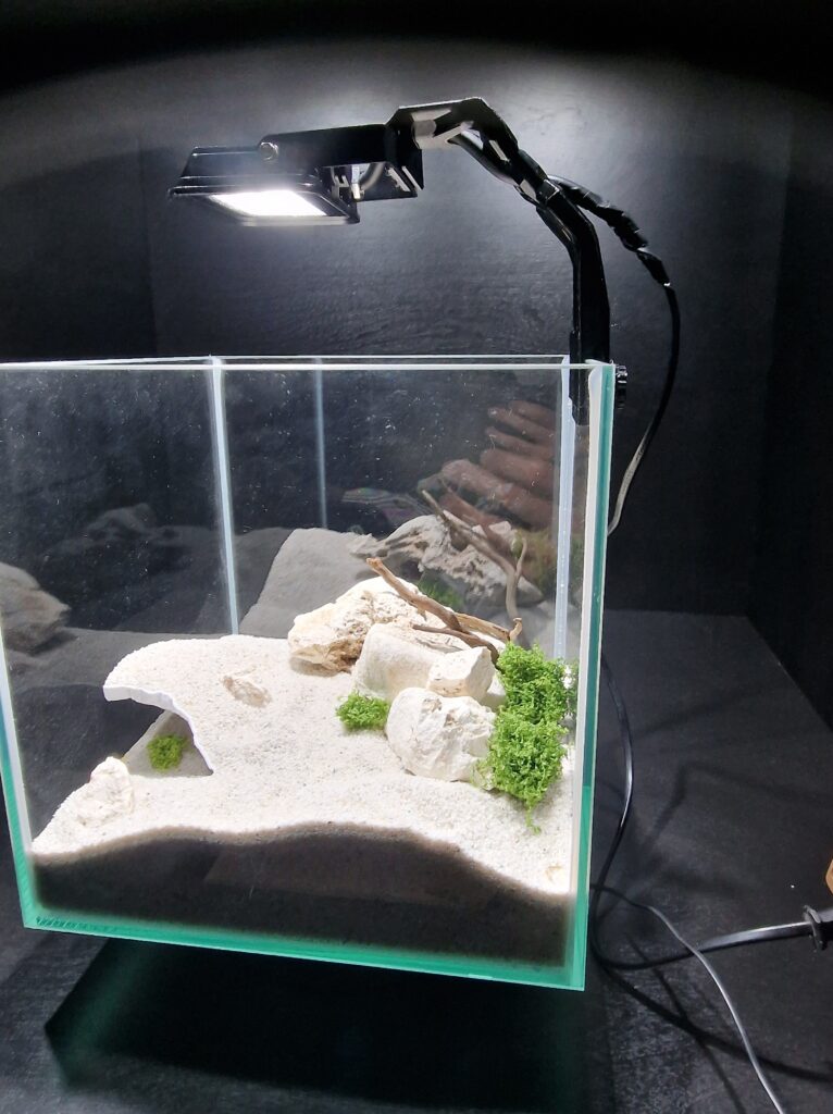 Aquireef3D Custom Print Blog showcasing the 20250220 205701 min 3