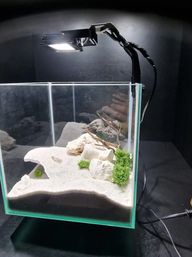 Aquireef3D Custom Print Blog showcasing the 20250220 205701 min 3