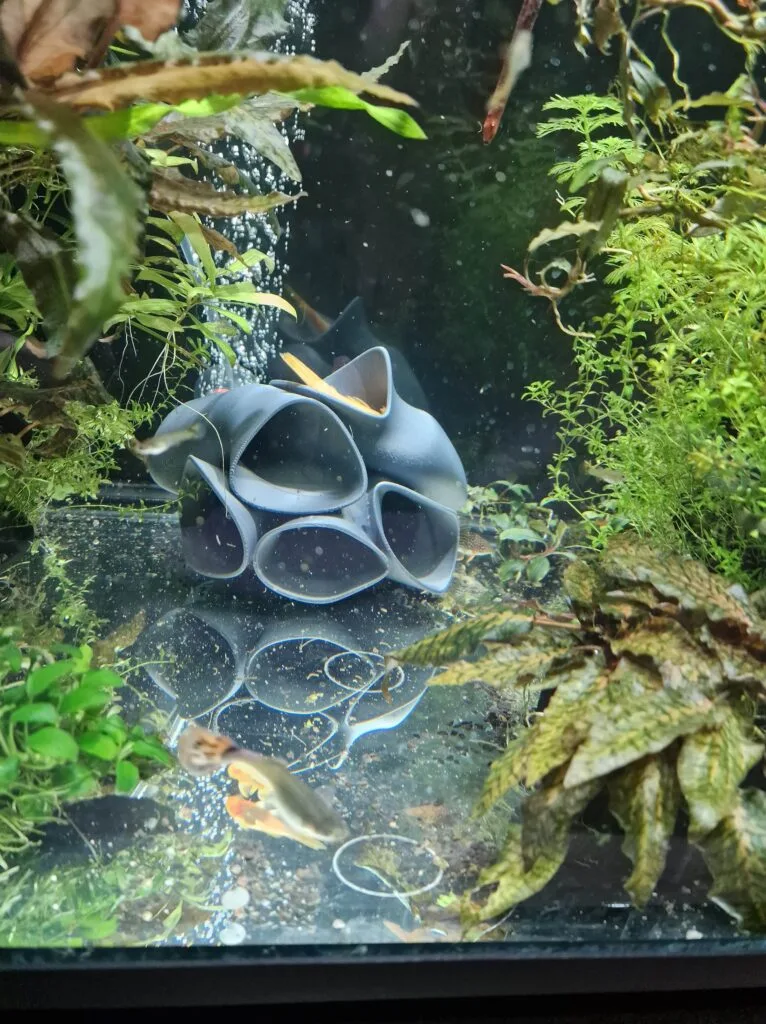 3d print fish tank decor - a pleco hideout cave with many entrances and tubular design showcased in a life aquarium