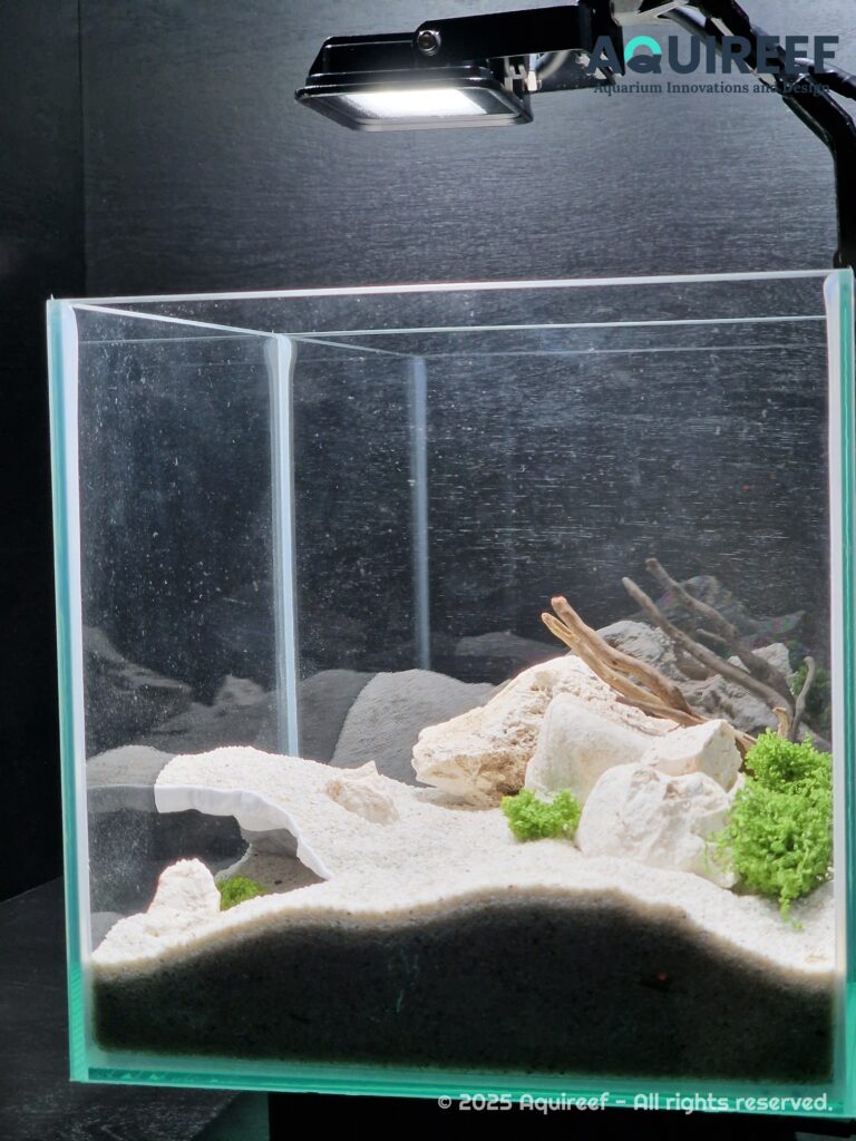 Aquireef3D Custom Print Blog showcasing the 4 min 1