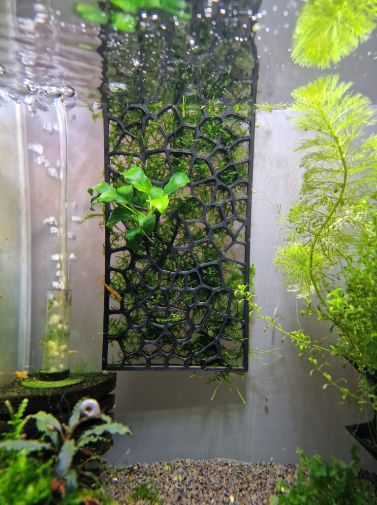 3d printing aquarium parts - plant and moss holders to benefit the growout of plants in your aquarium or fish tank setup