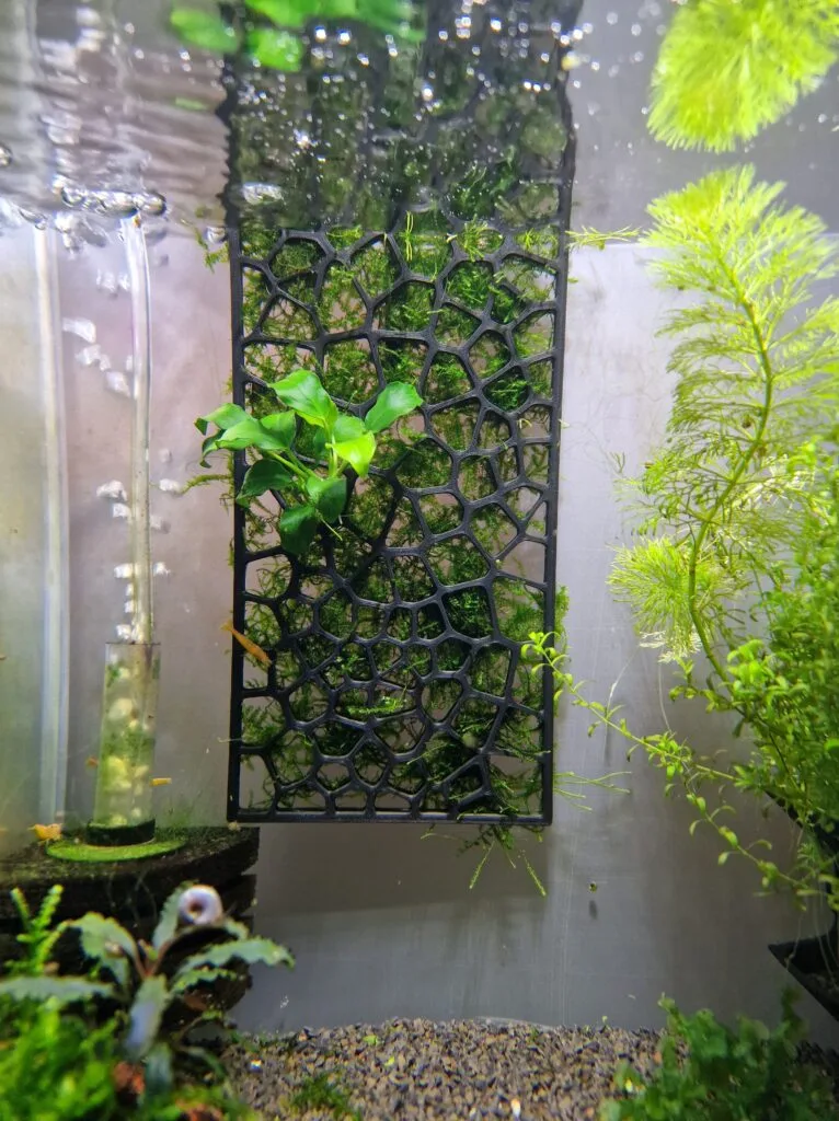 3d printing aquarium parts - plant and moss holders to benefit the growout of plants in your aquarium or fish tank setup