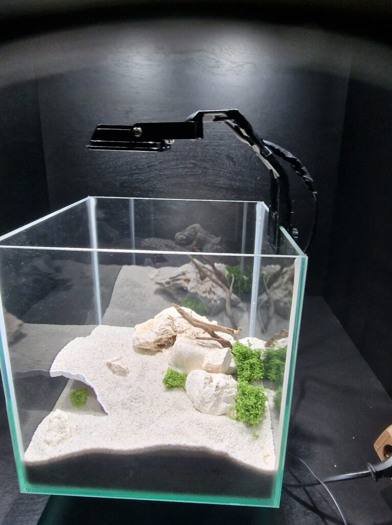 Custom 3d printable LED light holder showcased attached to a real aquarium