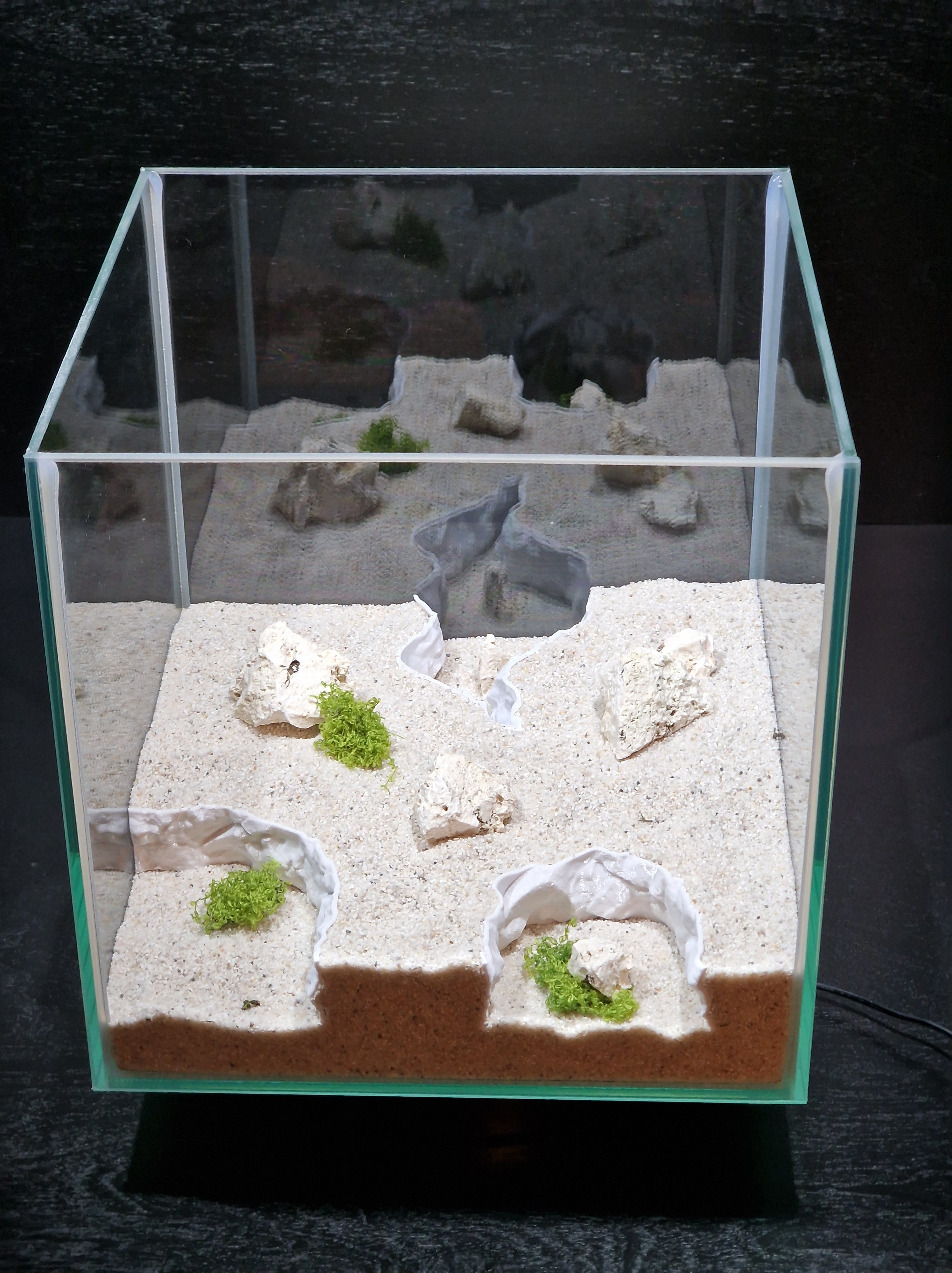 Gravel splitters - a easy and convenient accessory for any terrarium, aquarium or fish tank.
