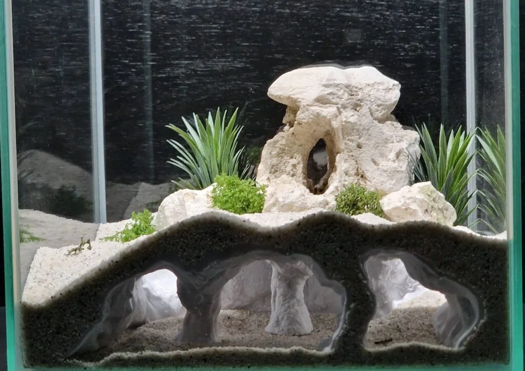 Underwater atlantis catacomb style cave 3d printed from petg filament showcasing petg filament pros and cons - a durability under water combined with rough edge 3d print