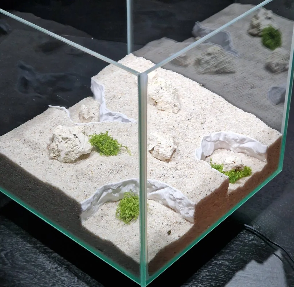 petg printing at a glance: 3d printed gravel splitters for terrarium or aquarium use in action