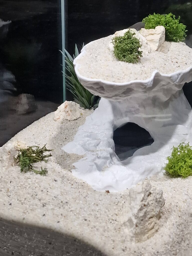 Tower Cliff Cave by Aquireef3D
