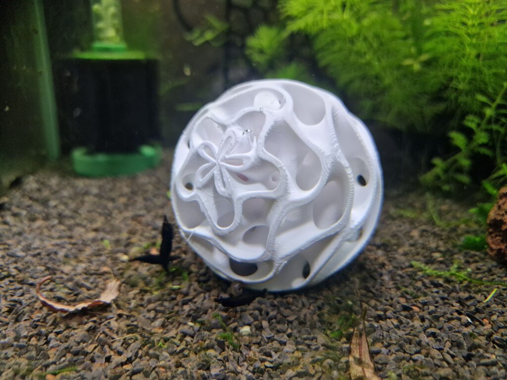 A gyroid shrimp sphere in shrimp tank. A design and 3d print by Aquireef3D.