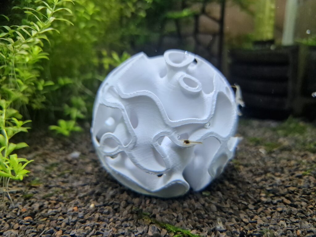 A gyroid shrimp sphere in shrimp tank. A design and 3d print by Aquireef3D.