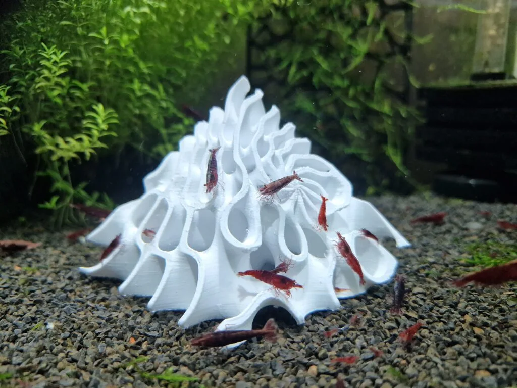 A gyroid shrimp pyramid cave in shrimp tank. A design and 3d print by Aquireef3D.