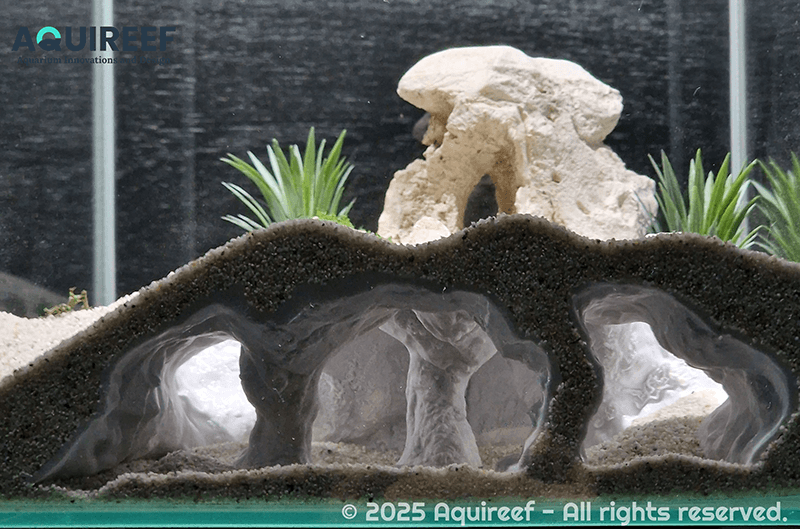 3D Printing as a powerful tool for Aquariumists - Atlantis Catacombs universal Aquarium Cave showcased, designed and 3d printed by Aquireef3D