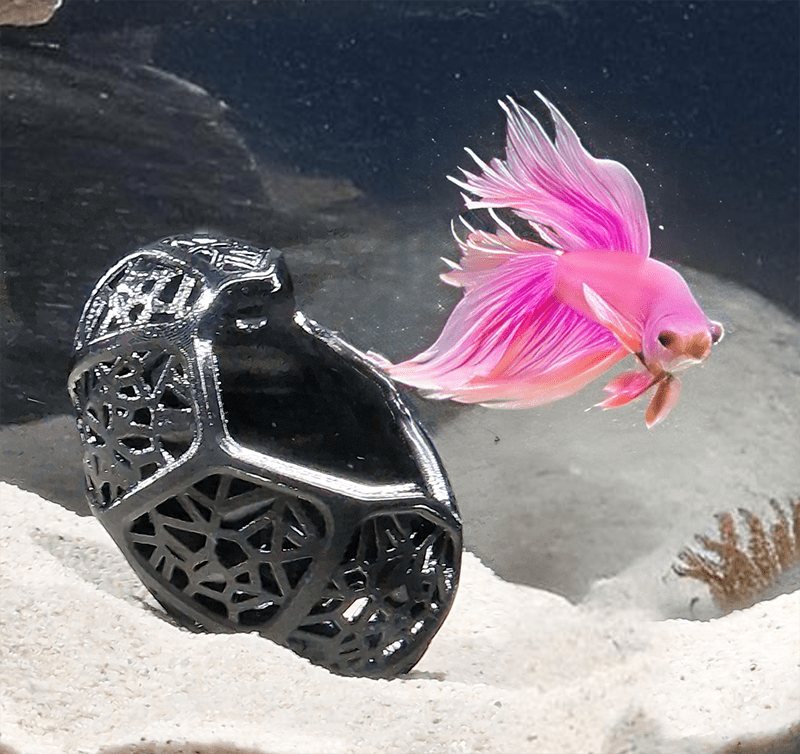 Betta fish dragon egg style 3d print cave with a small betta fish exploring surroundings. Voronoi design helps save the filament and provides a perfect suit for bettas. A design by Aquireef3D.