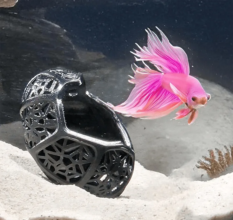 Betta fish dragon egg style 3d print cave with a small betta fish exploring surroundings. Voronoi design helps save the filament and provides a perfect suit for bettas. A design by Aquireef3D.