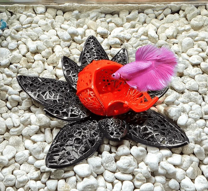 Betta fish flower 3d print cave with a small betta fish checking it's inner part. Voronoi design helps save the filament and provides a perfect suit for bettas. A design by Aquireef3D.