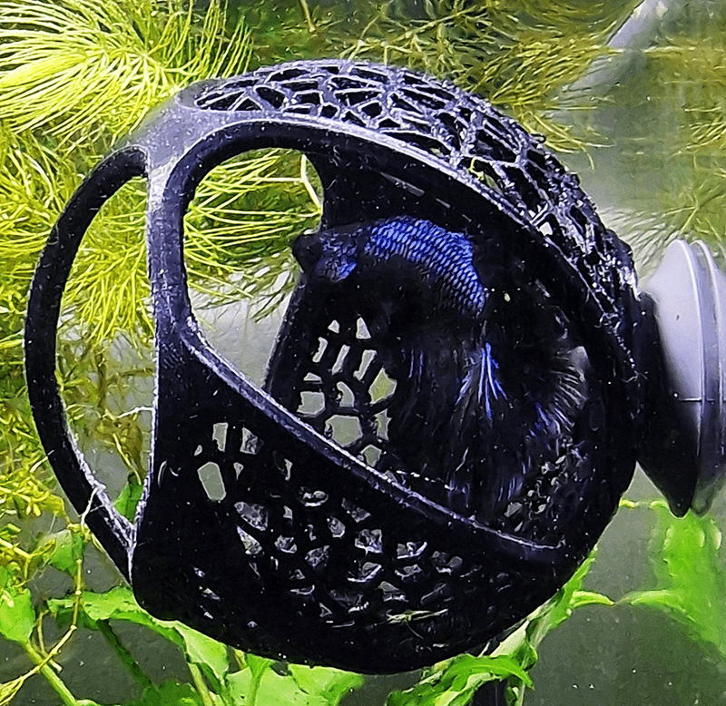 Aquireef3D Custom Print Blog showcasing the Betta Hammoch Cave with fish by Aquireef3D min