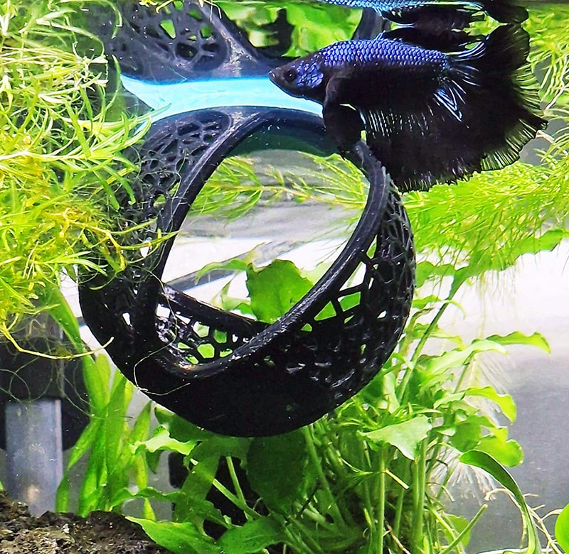 Aquireef3D Custom Print Blog showcasing the Betta Hammock Cave by Aquireef3D min