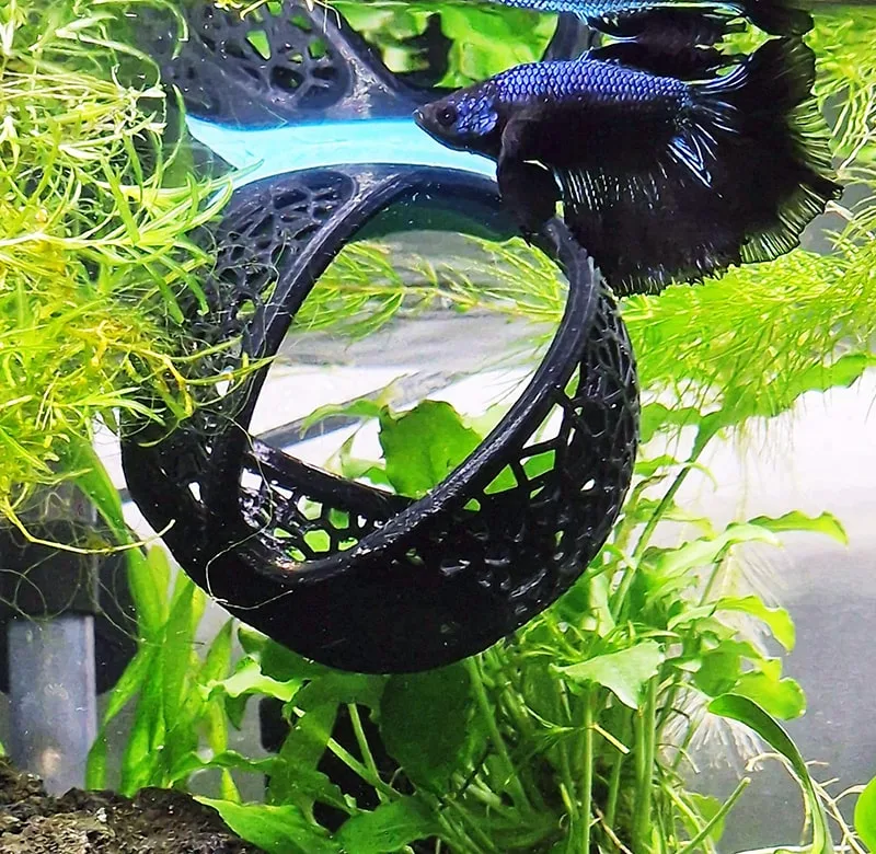 Aquireef3D Custom Print Blog showcasing the Betta Hammock Cave by Aquireef3D min