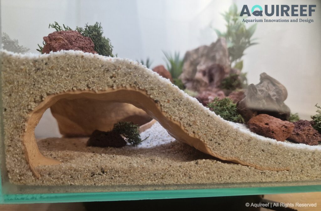Aquireef3D Custom Print Blog showcasing the Riptide aquarium terrarium fish hide cave decoration 4 min