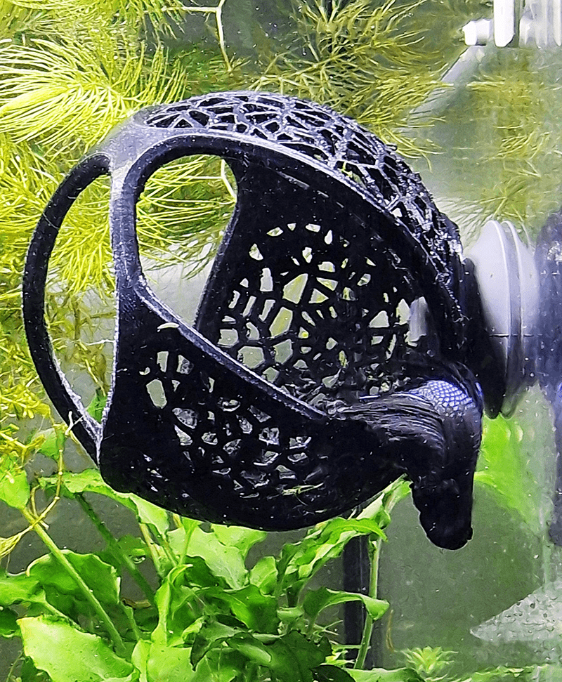 A sleeping betta fish inside a 3d printed cave. Designed by Aquireef3D this voronoi style betta hammock cave provides a cozy and safe rest place for bettas.