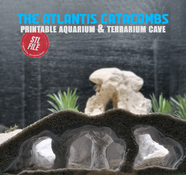 Aquireef3D Bestseller: the Atlantis Catacombs Aquarium & Terrarium Cave 3d Design