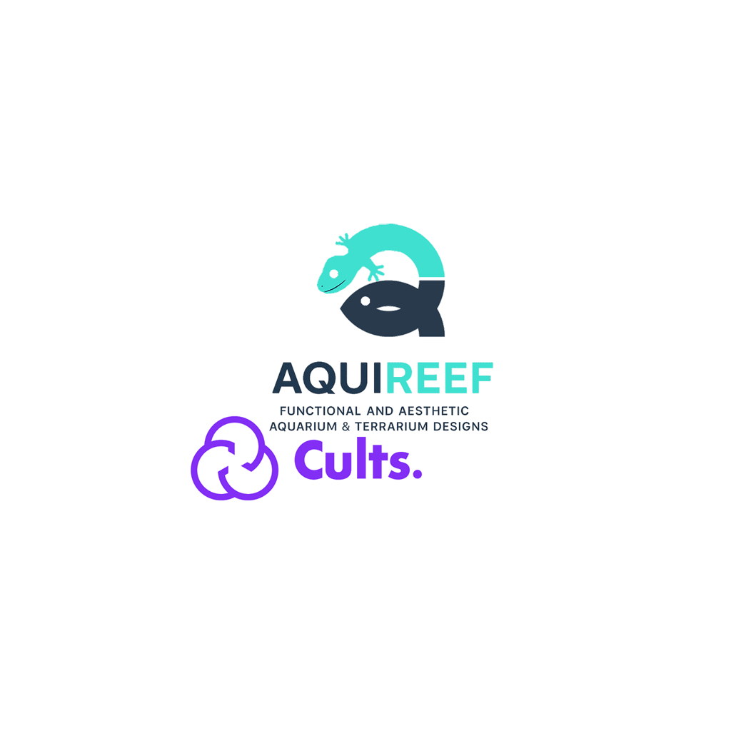 Aquireef3D journey on cults platform - blog post with sales stats