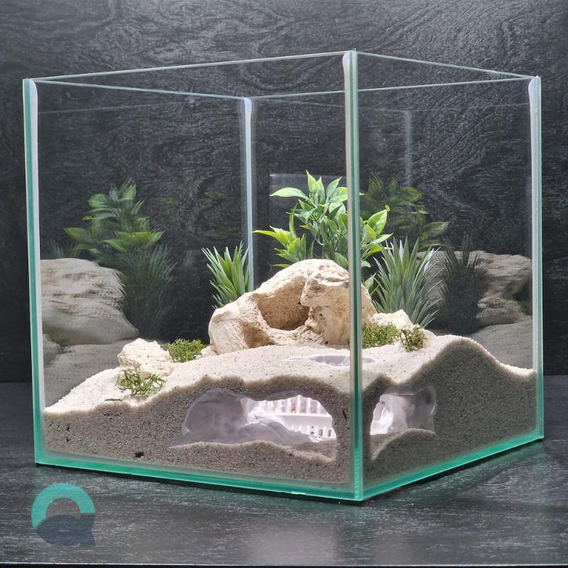 Fish tank decorations by Aquireef3D showcased: the themed Roman Empire - the Sunken Colosseum corner cave, used as Aquarium decorations and Terrarium hides.