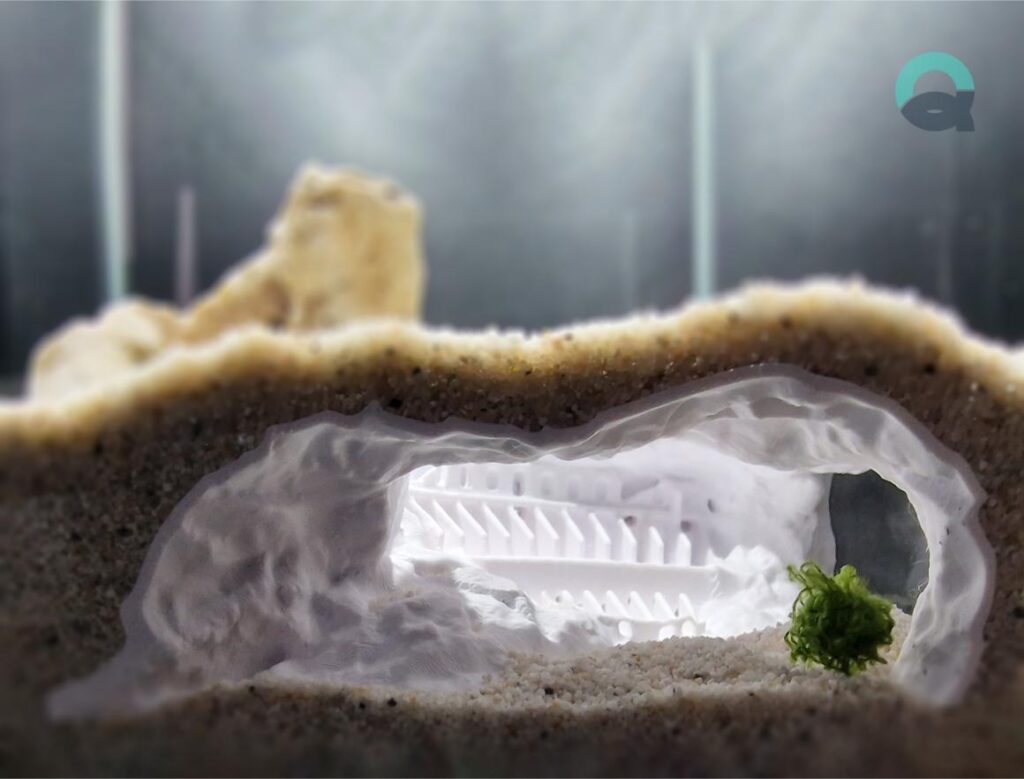 Fish tank decorations by Aquireef3D showcased: the themed Roman Empire - the Sunken Colosseum corner cave, used as Aquarium decorations and Terrarium hides.