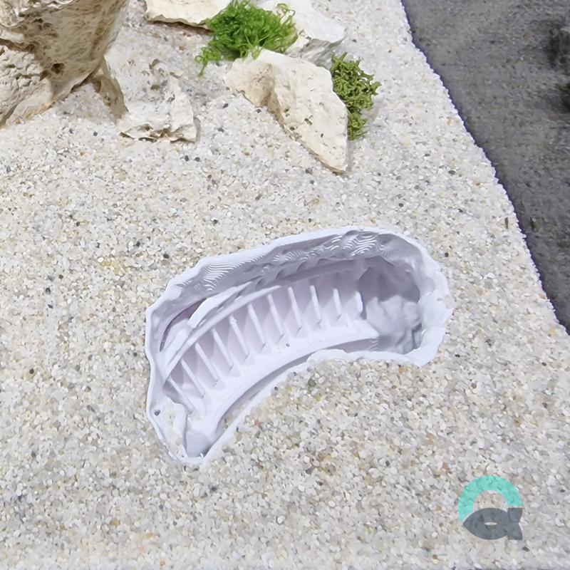 Fish tank decorations by Aquireef3D showcased: the themed Roman Empire - the Sunken Colosseum corner cave, used as Aquarium decorations and Terrarium hides.