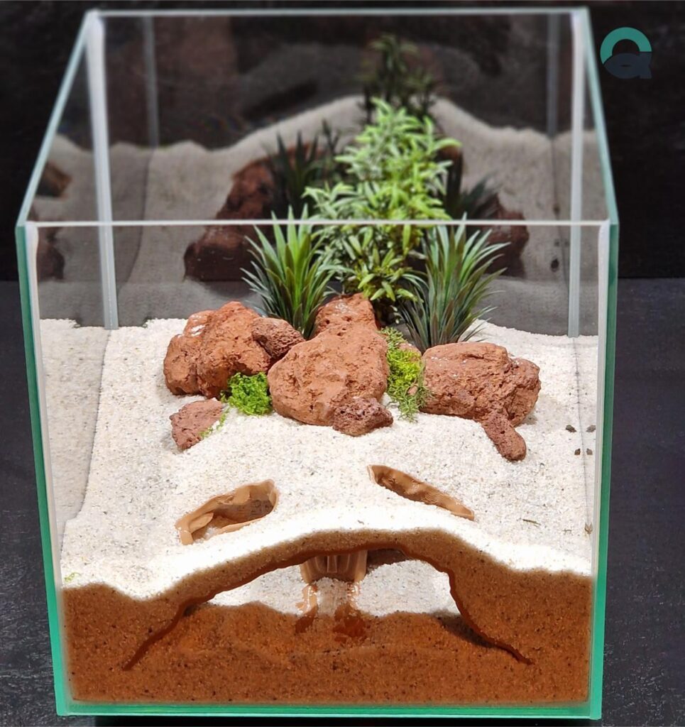 Fish tank decorations by Aquireef3D showcased: the themed Secrets of Pharaoh Egyptian style cave, used as Aquarium decorations and Terrarium hides.