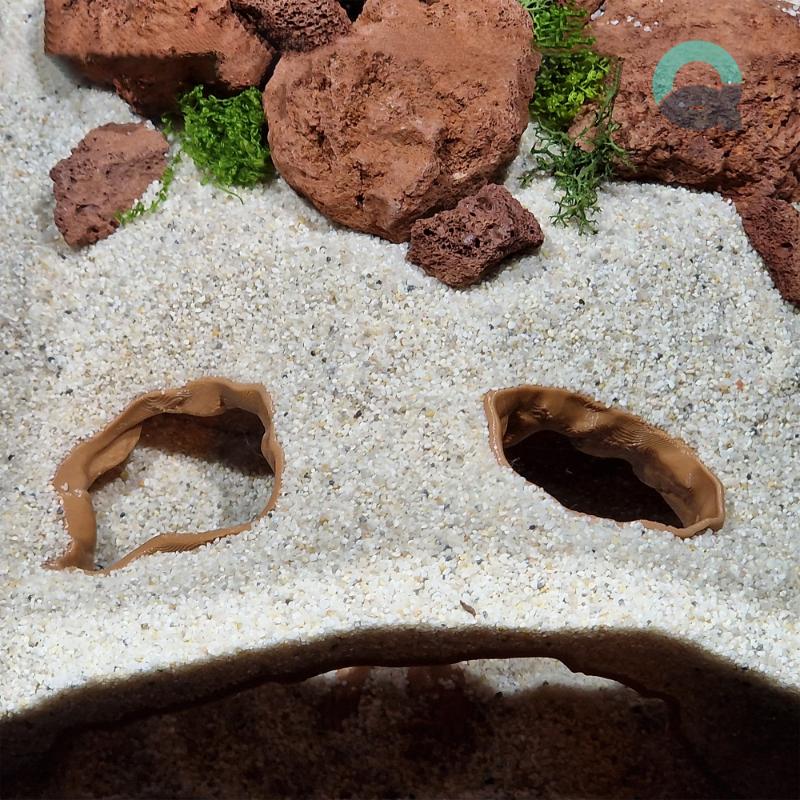 Fish tank decorations by Aquireef3D showcased: the themed Secrets of Pharaoh Egyptian style cave, used as Aquarium decorations and Terrarium hides.