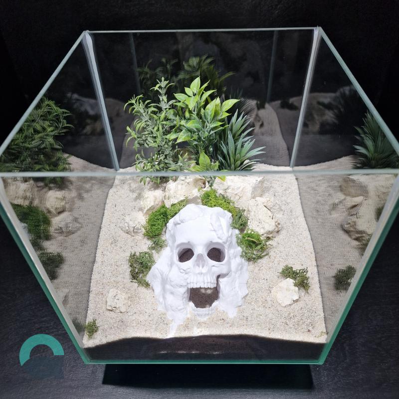 Fish tank decorations by Aquireef3D showcased: the themed Skull Hide - Pirate style cave, used as Aquarium decorations and Terrarium hides.