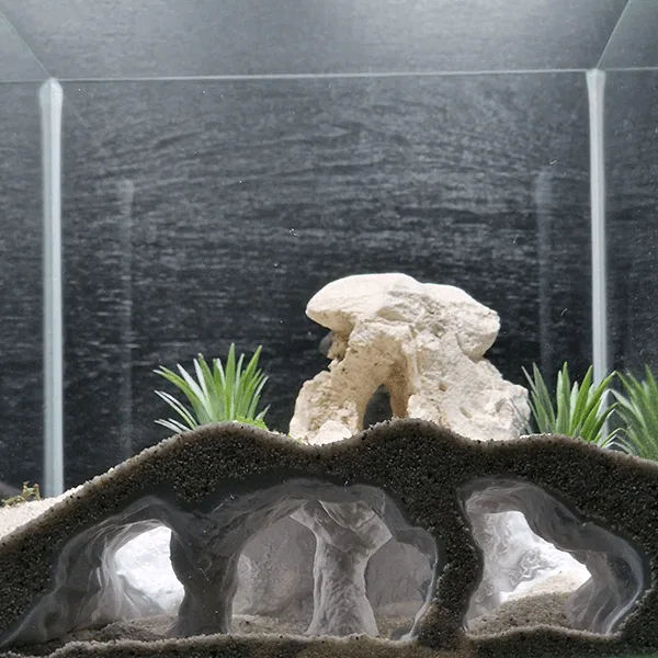AQUARIUM and TERRARIUM 3D PRINTABLE DESIGNS by Aquireef3D - the Atlantis Cave for Aquarium Terrarium 3d print