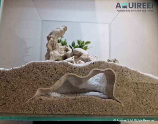 3D Printable Aquarium & Terrarium Cave STL | Fish, Gecko or Snake Tank Hideout with Dual Entrance, Big Volume - Image 4
