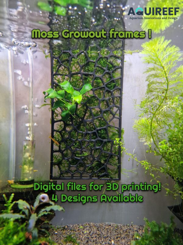 3D Printable Moss Growout Frame STL | Aquarium Plant Wall Design | Fish Tank Decoration