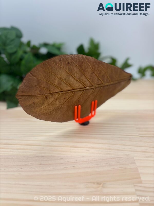 3D Printable Leaf Holder STL, Natural Shrimp Shelter, Shrimp Hide Aquarium Decor, Aquascape Plant Tool, Fish Tank Accessories DIY STL File - Image 5
