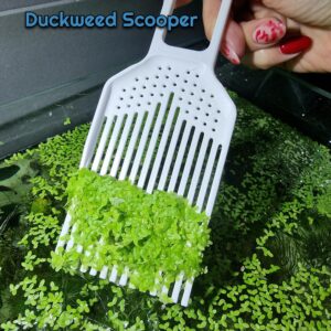 Duckweed Separating Accessory | Fish tank Clean Tool | 3D Printable Duckweed Scraper - Remover from Aquarium