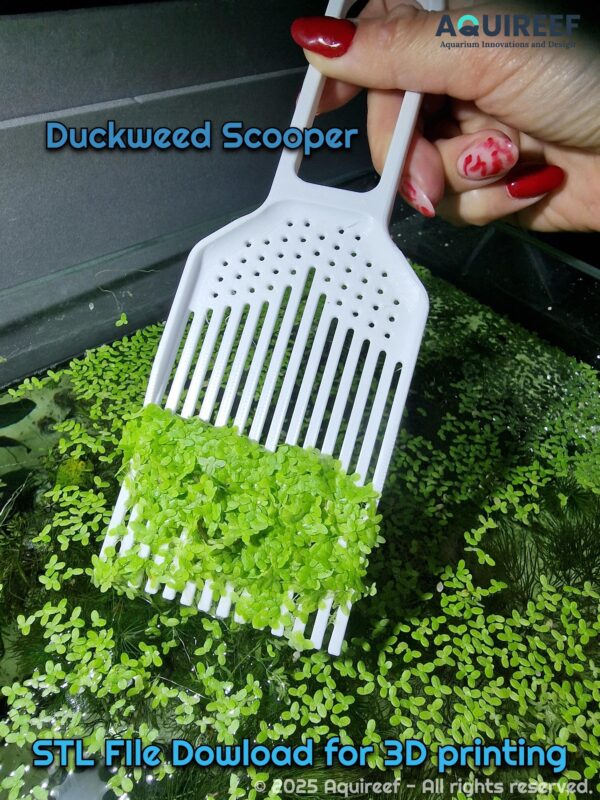 Duckweed Separating Accessory | Fish tank Clean Tool | 3D Printable Duckweed Scraper - Remover from Aquarium