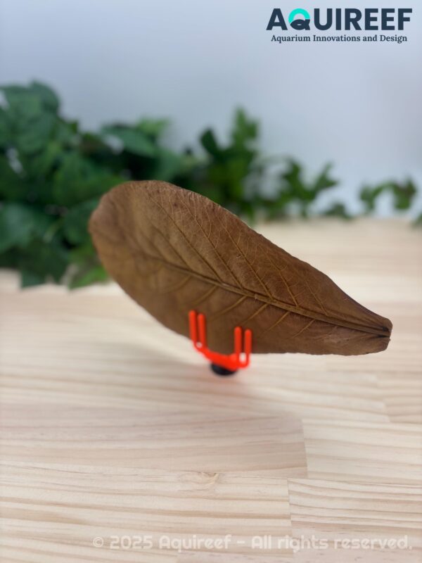 3D Printable Leaf Holder STL, Natural Shrimp Shelter, Shrimp Hide Aquarium Decor, Aquascape Plant Tool, Fish Tank Accessories DIY STL File - Image 3