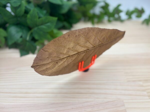 3D Printable Leaf Holder STL, Natural Shrimp Shelter, Shrimp Hide Aquarium Decor, Aquascape Plant Tool, Fish Tank Accessories DIY STL File - Image 10