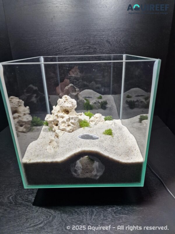 Aquarium & Terrarium Vortex Cave | Pet Hide | Terrarium Decoration | Aquarium, Terrarium, Vivarium Safe | DIY 3D Printable Cave File - Image 3